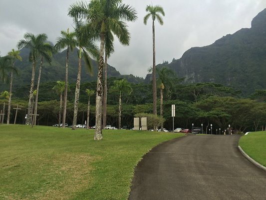 HI50 S5 2015-01-29 14.41.45