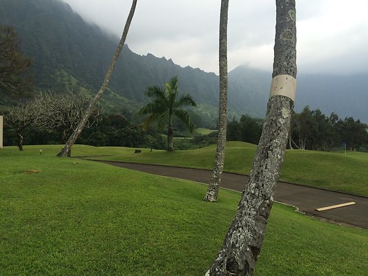 HI50 S5 2015-01-29 14.30.05