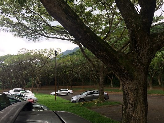 HI50 S5 2015-01-29 14.44.27