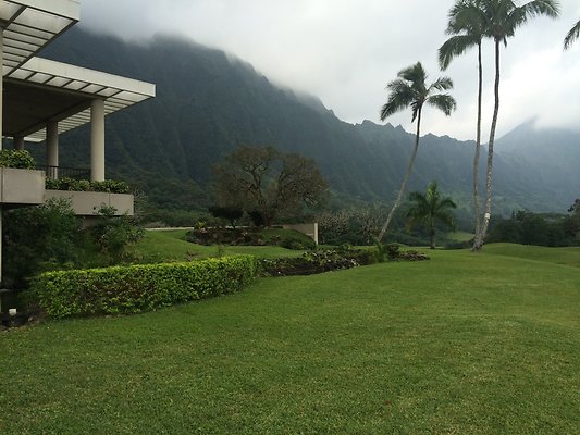 HI50 S5 2015-01-29 14.29.26