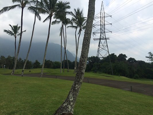 HI50 S5 2015-01-29 14.29.28