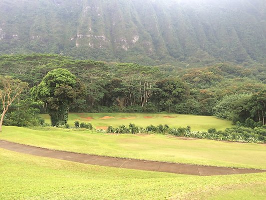 HI50 S5 2015-01-29 14.32.08