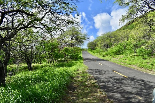 th New Battery 407    722