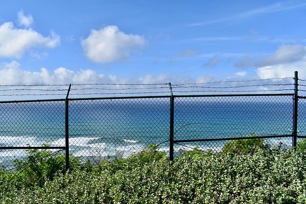 th New Battery 407    564