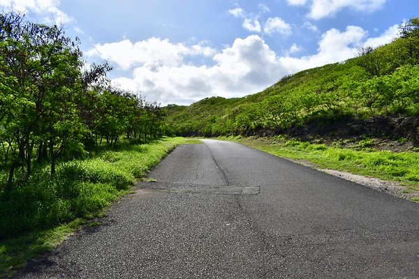 th New Battery 407    620