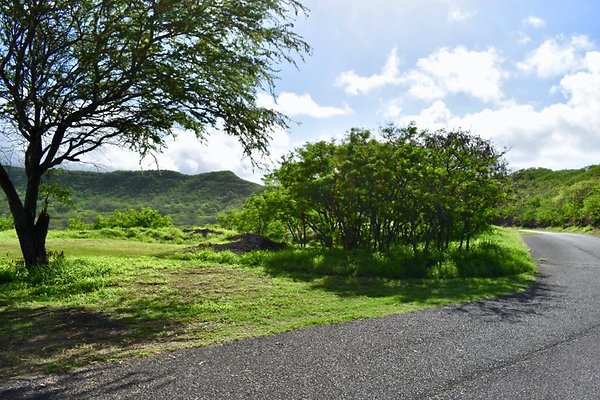 th New Battery 407    625