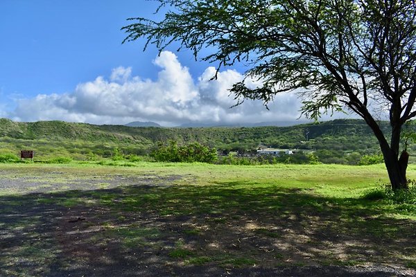 th New Battery 407    624