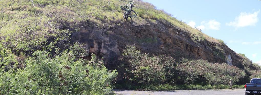 th IMG 0347 IMG 0349