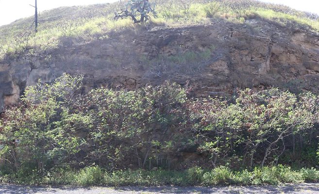 th IMG 0391 IMG 0394