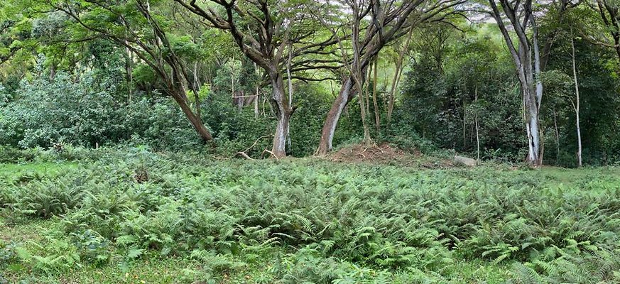 th IMG 8998 IMG 9004