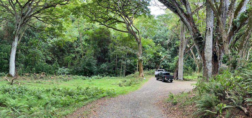 th IMG 9005 IMG 9010