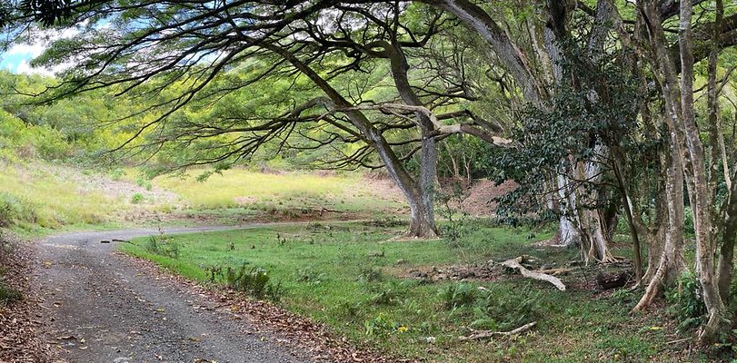 th IMG 8989 IMG 8994