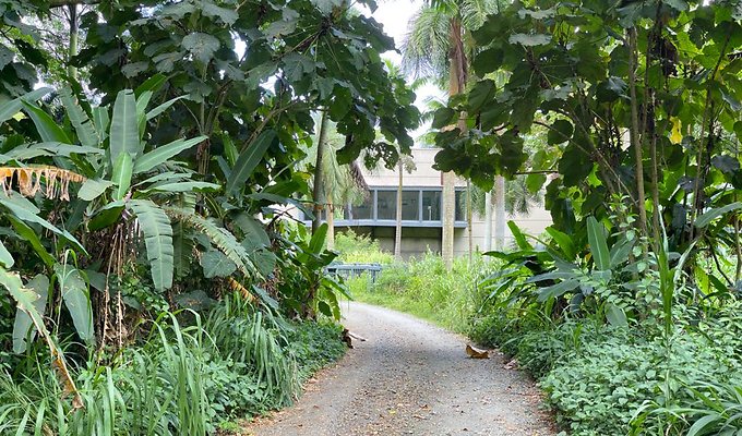 th IMG 9128 IMG 9131