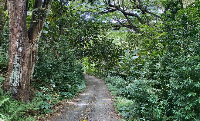 th IMG 9113 IMG 9121