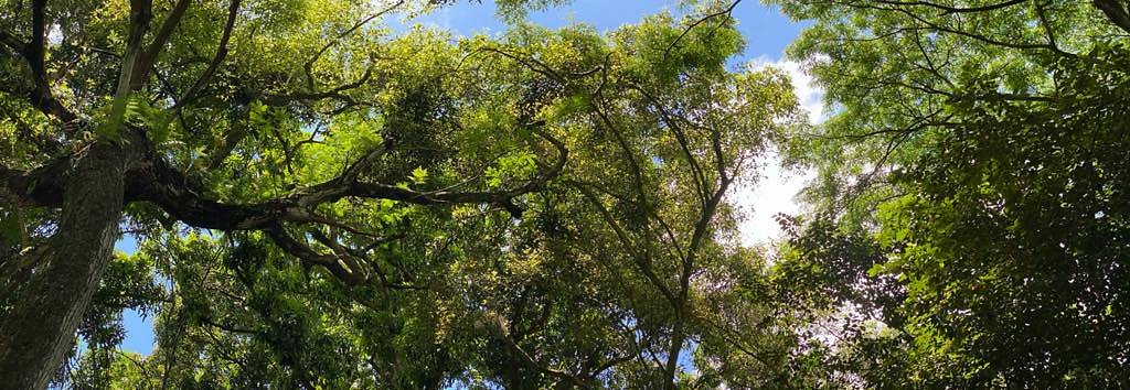 th IMG 9111 IMG 9112