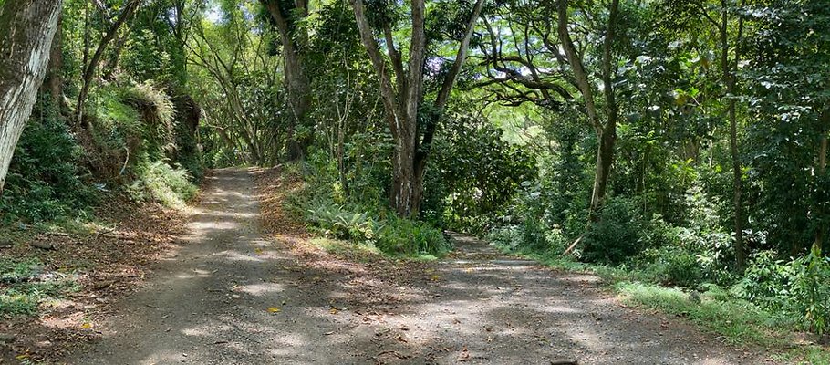 th IMG 9098 IMG 9103