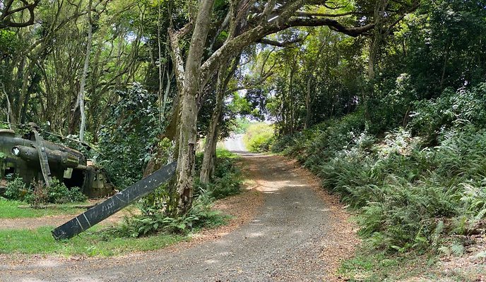 th IMG 8979 IMG 8982