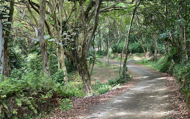 th IMG 9012 IMG 9015