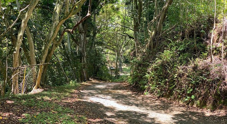 th IMG 9080 IMG 9083