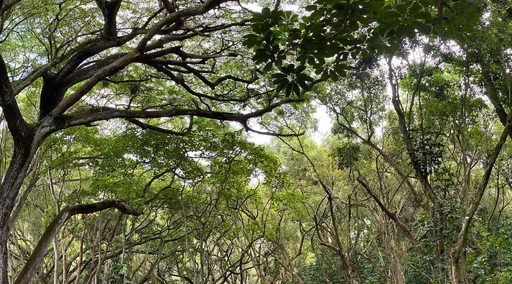 th IMG 9037 IMG 9040