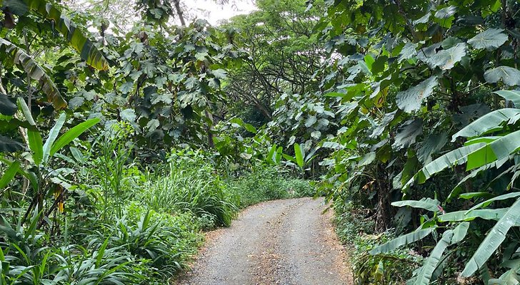 th IMG 9132 IMG 9135