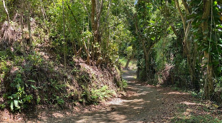 th IMG 9084 IMG 9088