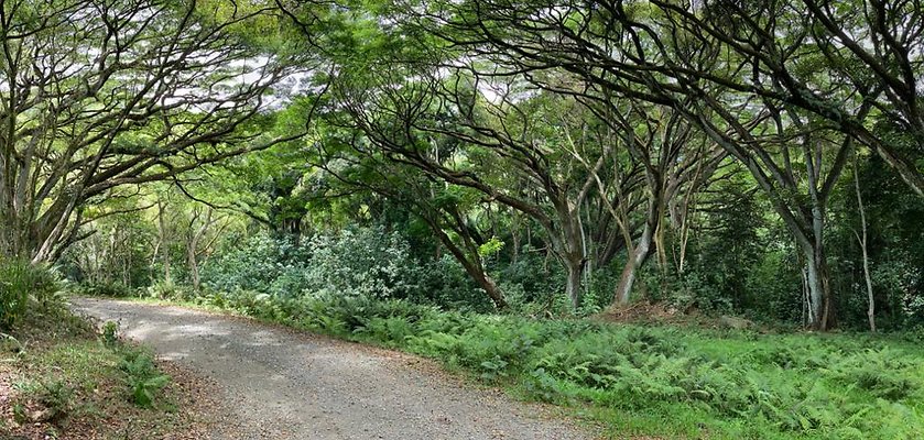 th IMG 8983 IMG 8988