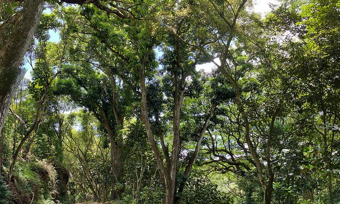 th IMG 9104 IMG 9110