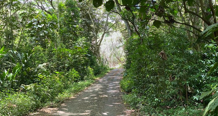 th IMG 9061 IMG 9064