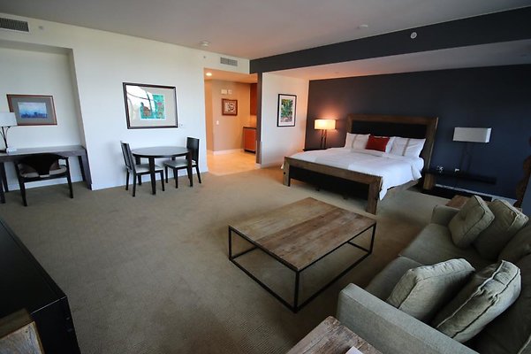 Guest Suite One Terrace Level