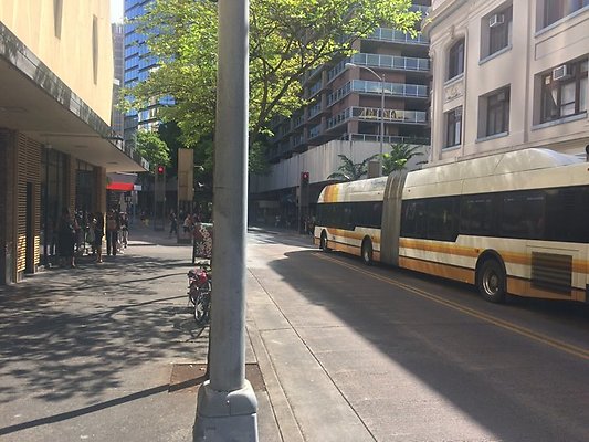 2014-11-20 13.04.51-1