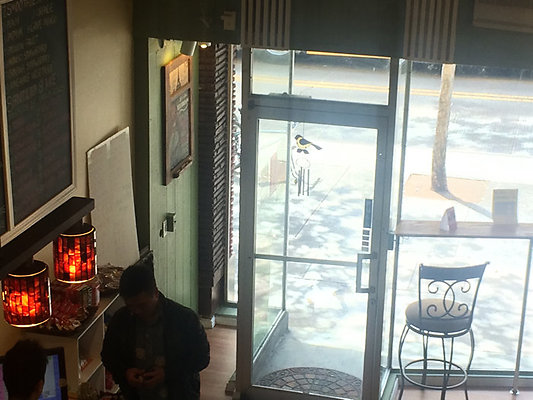 2014-11-20 13.08.58-1