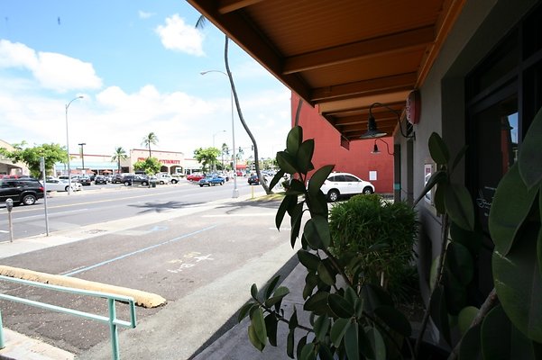 th WARD PacificHomes-6