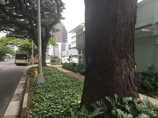 HI50 S6 2015-11-24 14.10.17