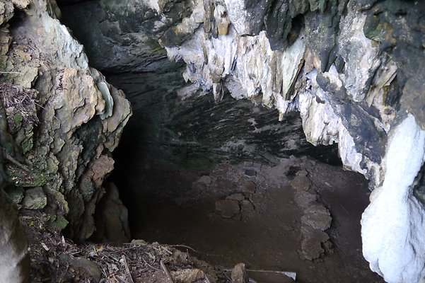 HI50 S6 Gun Stock Ranch 48