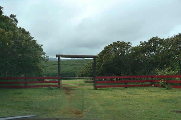 HI50 S6 Gun Stock Ranch 38