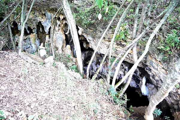 HI50 S6 Gun Stock Ranch 49