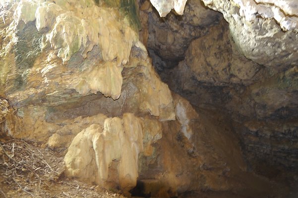 HI50 S6 Gun Stock Ranch 46