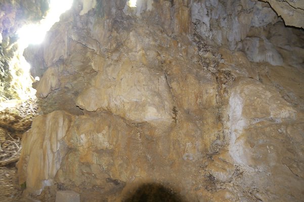 HI50 S6 Gun Stock Ranch 44