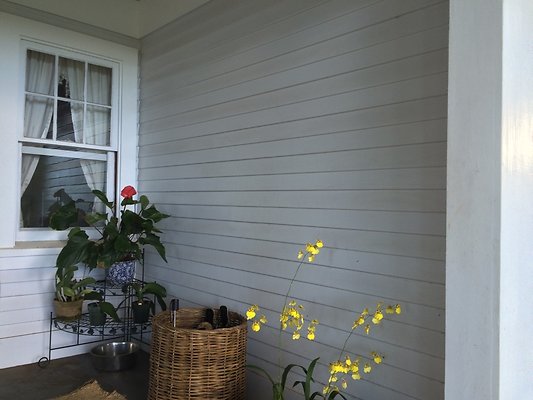 HI50 S5 Tajiri 2014-11-12 09.34.40