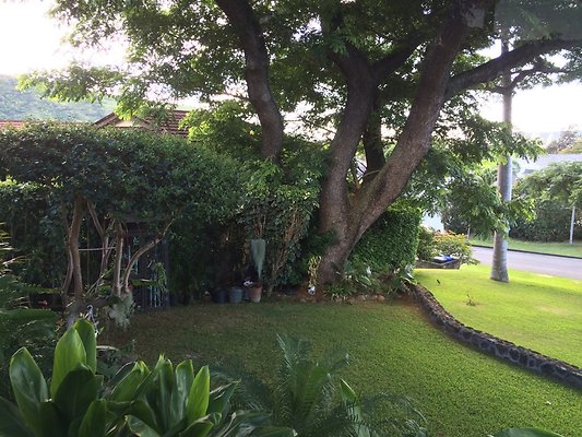 HI50 S5 Tajiri 2014-11-12 09.34.06