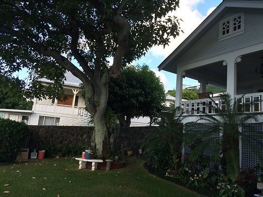 HI50 S5 Tajiri 2014-11-12 09.33.43