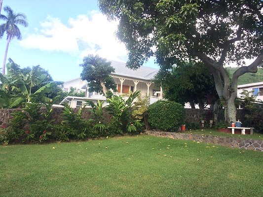 HI50 S5 Tajiri 2014-11-12 09.31.25