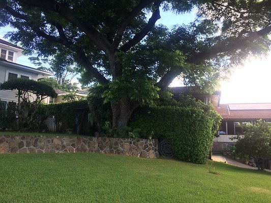 HI50 S5 Tajiri 2014-11-12 09.31.31