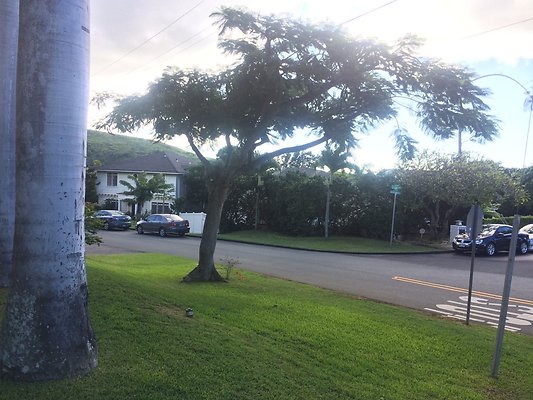 HI50 S5 Tajiri 2014-11-12 09.31.42