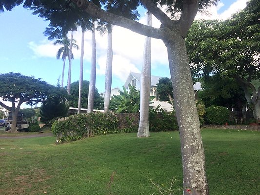 HI50 S5 Tajiri 2014-11-12 09.30.25