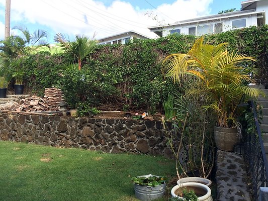 HI50 S5 Tajiri 2014-11-12 09.53.17