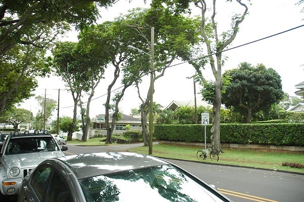 th 2211 Kamehameha Ave - Maya and Jack-01