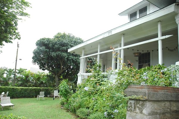 th 2211 Kamehameha Ave - Maya and Jack-07