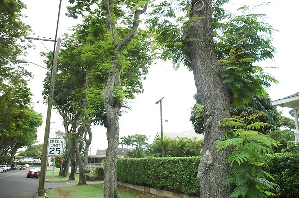 th 2211 Kamehameha Ave - Maya and Jack-04